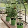 Garland Self Watering Grow Pot Planter - Green