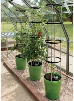 Garland Self Watering Grow Pot Planter - Green