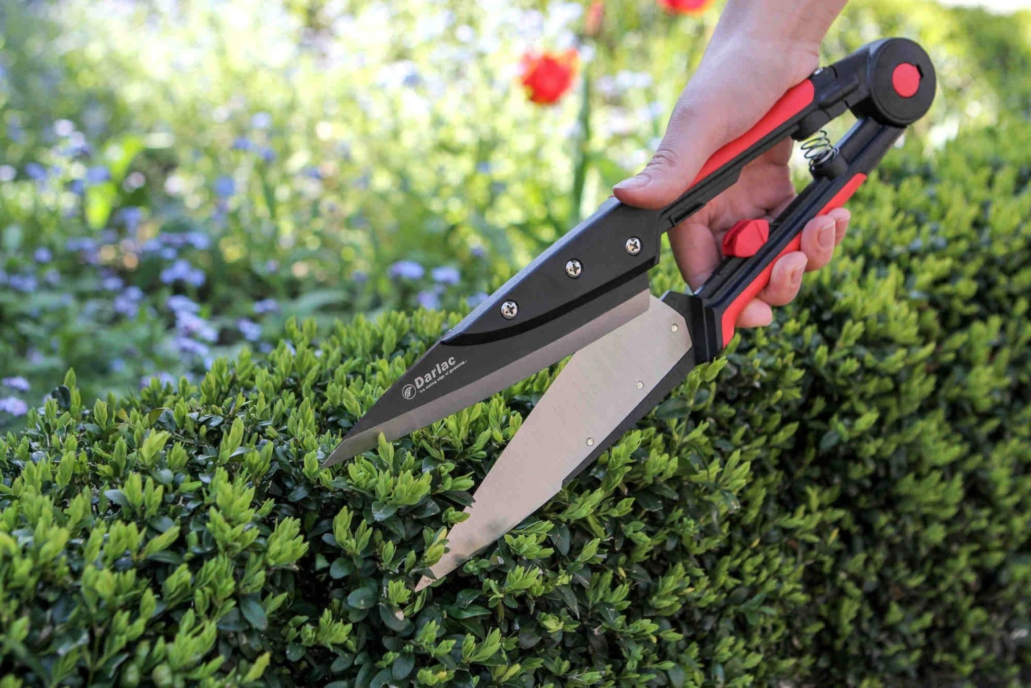 Darlac Expert Topiary Shear 2 Darlac Expert Topiary Shear - Image 2