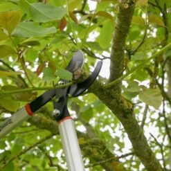 Wilkinson Sword Geared Bypass Loppers -Garden Care Store 39498 11742