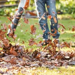 Stihl BGA 57 Boxset (1 X Shell, 1 X AK20 Battery, 1 X AL101 Charger) 5 Stihl BGA 57 Boxset (1 X Shell, 1 X AK20 Battery, 1 X AL101 Charger) -Garden Care Store 41161 10278