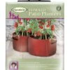 Haxnicks Patio Tomato Planters X2