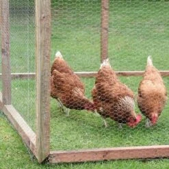 Smart Garden Hexagonal Wire Netting - 0.5 X 5m - 13mm Mesh -Garden Care Store 44614 5895