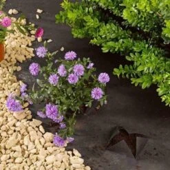 Smart Garden G50 Anti-Weed Fabric - 1m X 15m -Garden Care Store 44672 5823