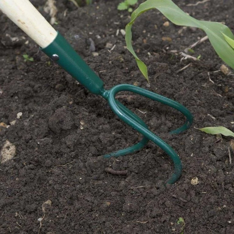 Wilkinson Sword Carbon Steel 3 Prong Cultivator 3 Wilkinson Sword Carbon Steel 3 Prong Cultivator - Image 3