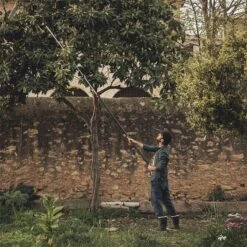 Fiskars PowerGear X Telescopic Tree Pruner UPX86 -Garden Care Store 47154 1889