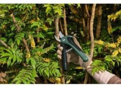 Bosch EasyPrune Cordless Secateurs -Garden Care Store 51032 30816