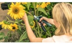 Bosch EasyPrune Cordless Secateurs -Garden Care Store 51032 30843