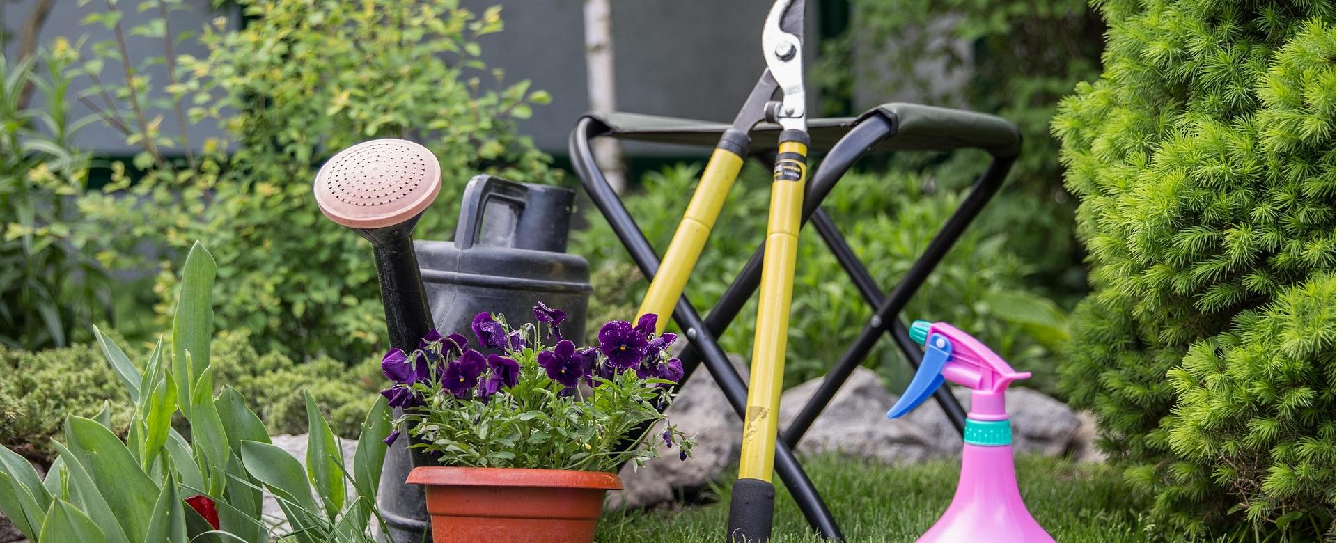 Garden Care Store 8 Garden Care Store -Garden Care Store gardening 6803876 1920